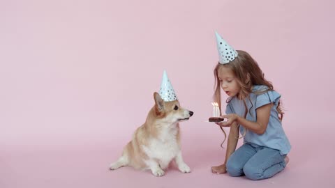 How Human celebrate the pets birthday