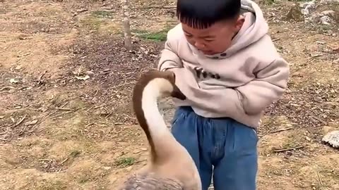 Kids vs goose