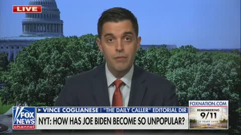 Vince Coglianese on Fox News Live