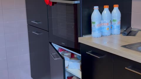 Precocious Tot Hides In Kitchen Cabinet