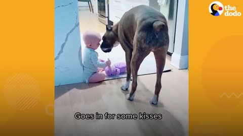 Baby Takes His First Steps Straight To His Dog _ The Dodo