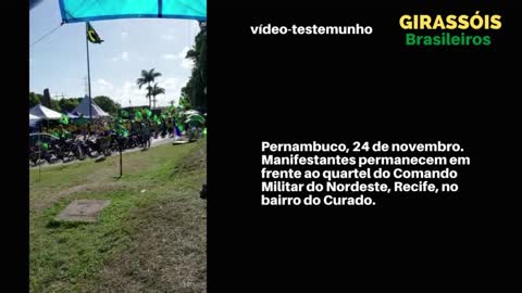 Girassóis Brasileiros, vídeo-testemunho