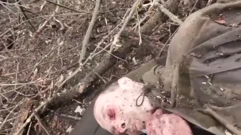 "Finish me off!" - Creepy footage of AFU fighters mutilated in battle with the Russian army
