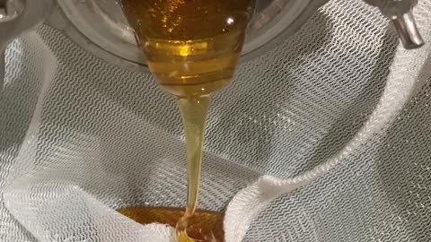 First Honey Harvest of 2023