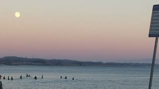 Evening Chill Surf