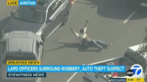 WILD: Grand Theft Auto Suspect Surrenders To Police In The CRAZIEST Way Possible