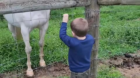 Cute boy calling his horse friend