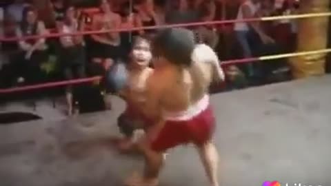 Amazing dwarf boxing match and knock out