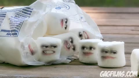 Marshmallow Murder