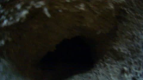 Deep Gopher Hole