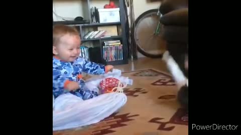 Cute baby and cat funny video😂😂