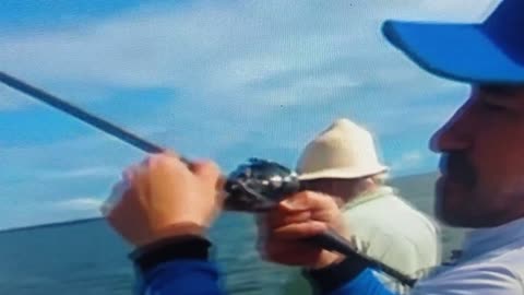 pescaria pescando peixe Robalo