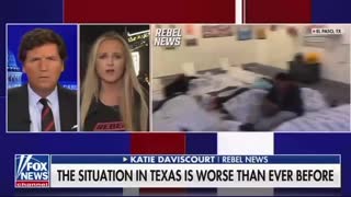 Tucker Carlson And Katie Daviscourt Discuss Current Immigration Crisis