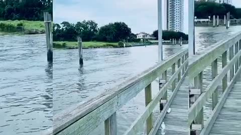 Fishing Pier View