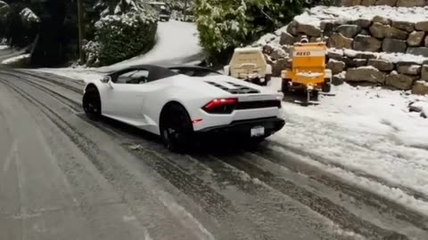 Lamborghini White