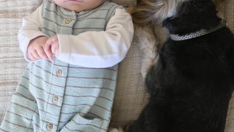 cute baby for sleep and cute dog wow❤😍