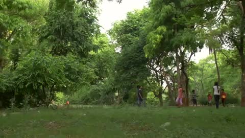 Panning Shot of Children in a Park