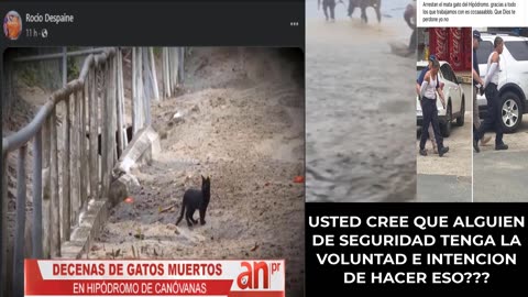 MALTRATO Y NEGLIGENCIA ANIMAL Y LABORAL???