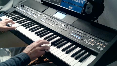 Kleine Annabell (Ronny) cover by Henry, Yamaha PSR-SX600