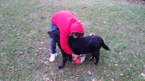 Puppy sitting Hazel with Master Trainer and Maddie