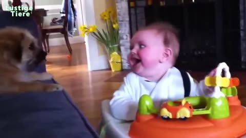 funny baby with pets