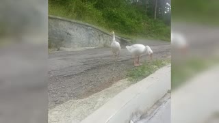 Suasana pagi yg sejuk