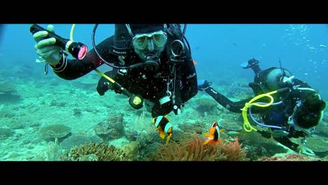 Scuba Diving in Madagascar