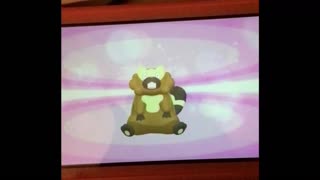 Bibarel Eats Poffins! Pokémon Shining Pearl
