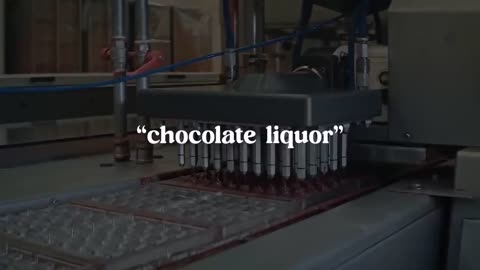 How Choclate is Made