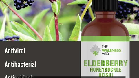 The Importance of Elderberry