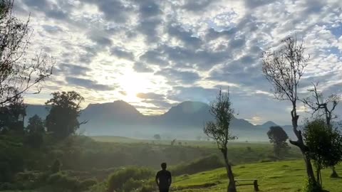 Blue Sky and Green Land