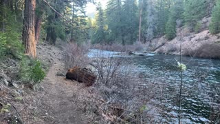 Contrarian Hiking Strategy – Metolius River – Central Oregon