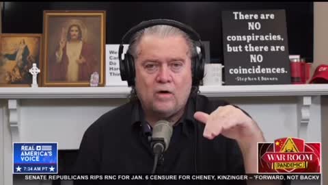 Bannon - They are calling truthers domestic terrorists just for telling the truth
