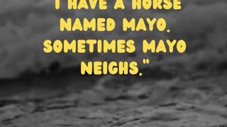 Mayo the Horse: Neighing Name Game (Equine Comedy!)