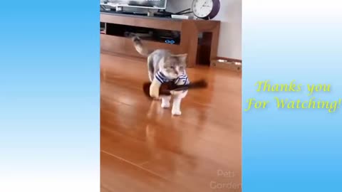 Funny Animal Videos 2021 - Impossible Not To Laugh - Funny Videos #1