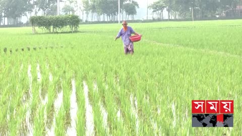 ব্রাজিল থেকে আসছে ১২৫০০ টন চিনি ! _ Sugar Import _ Fertilizer Import _ Brazil _ Somoy TV