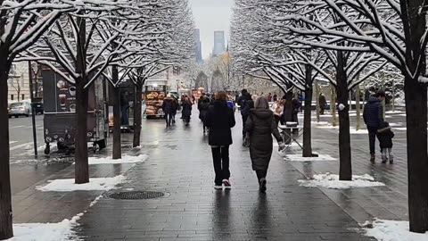 New York City Manhattan America USA Central Park 5th Avenue Street