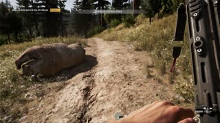 FARCRY 5 Bear Necessities