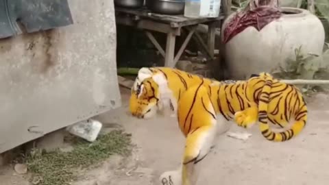 Funny Prank on Dog with Fake Lion