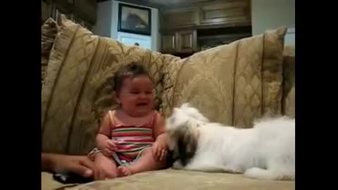 Cute baby and funny dog baby reaction