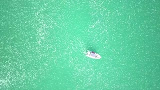 Swarms of jellyfish invade Israel's beaches