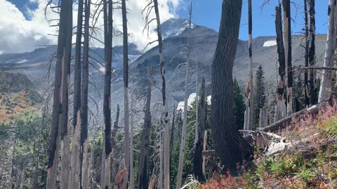 Oregon – Mount Hood – Timberline Loop – Day-Hike of NW Section – FULL – PART 4/4