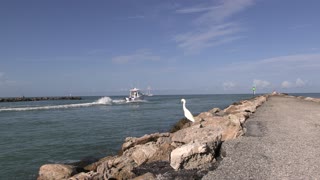 hot and muggy, north jetty fl