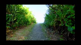 Nature videos with relaxation music and travel 2023