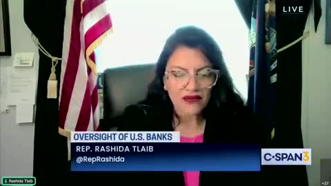 Democrat Rep LOSES IT When JP Morgan CEO Shuts Down Her Climate Craziness