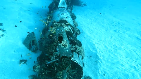 Scuba Divers Explore the Corsair Dive Site