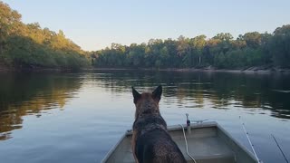 Suwannee River Saturday Night