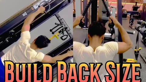 Back workout