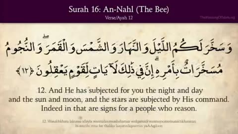 Quran: 16. Surat An-Nahl (The Bee) Part No 01: Arabic to English Translation HD