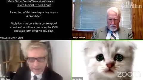 'I’m not a cat'- lawyer gets stuck on Zoom kitten filter during court case